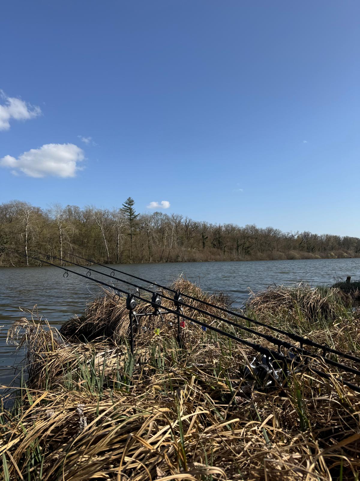 Séjour de pêche Rive Sauvage